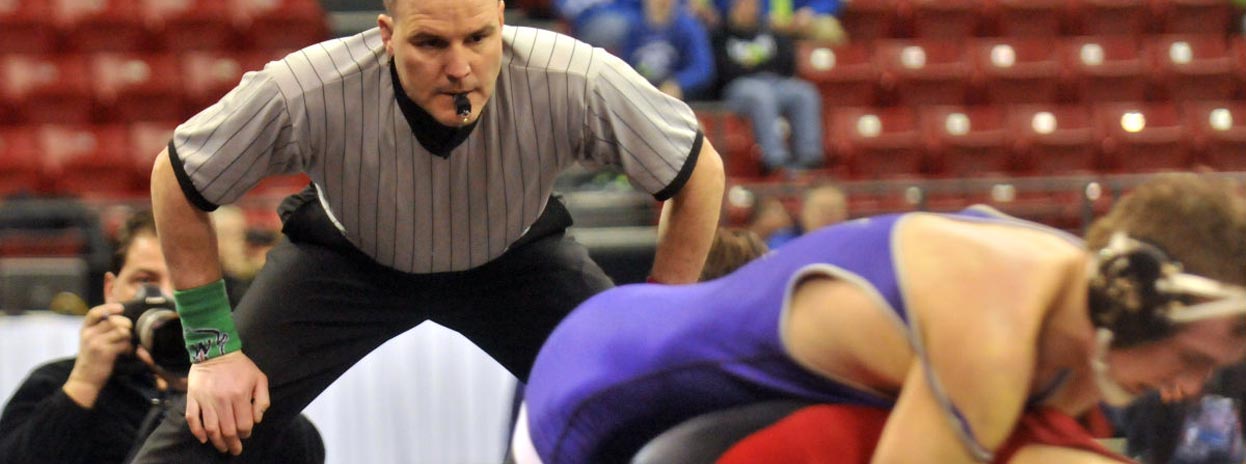 Wrestling Referee