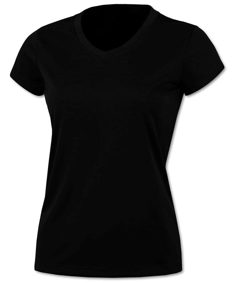 Ladies V-Neck T-Shirt